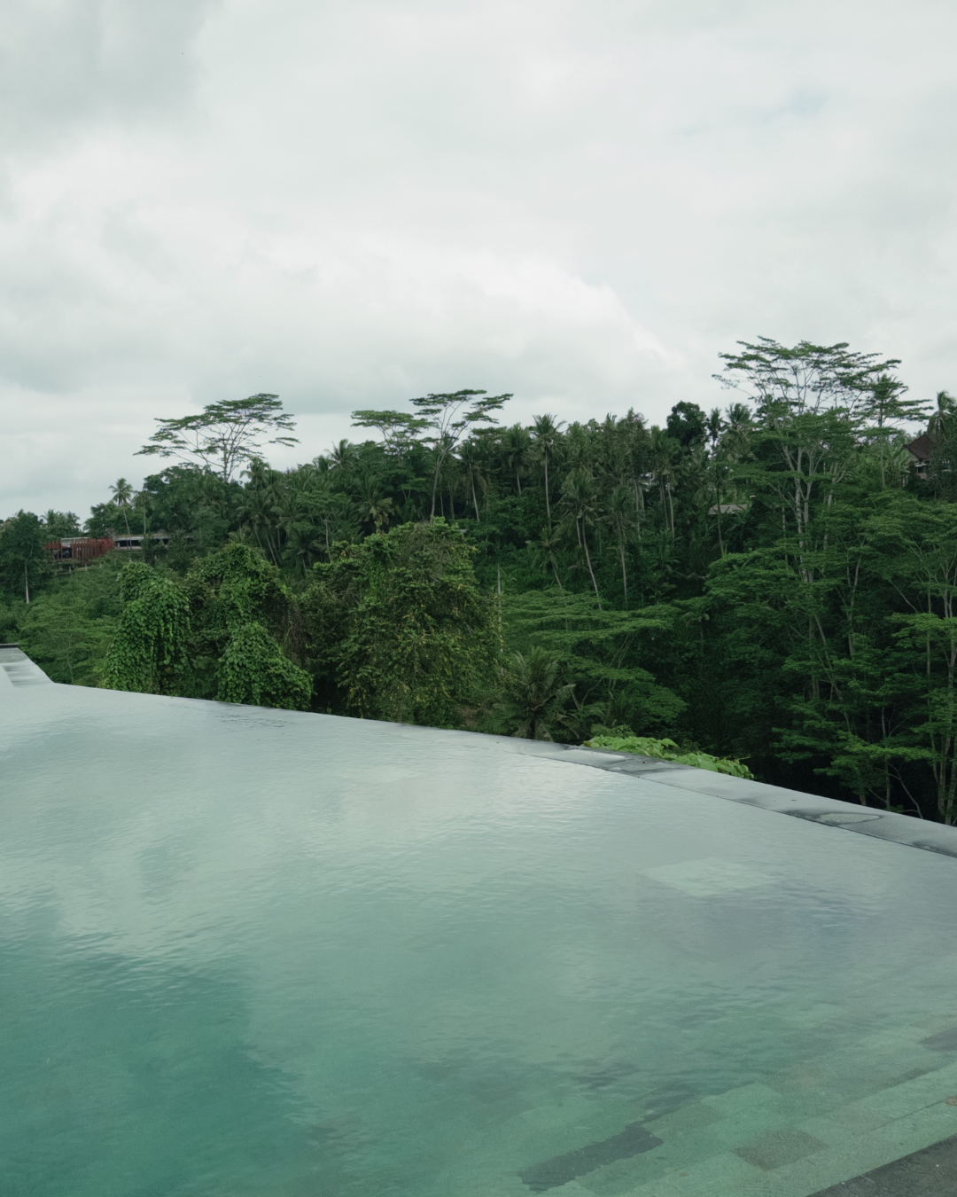 Infinity Pool Access - Melangit Bali Adventure – gallery photo 4