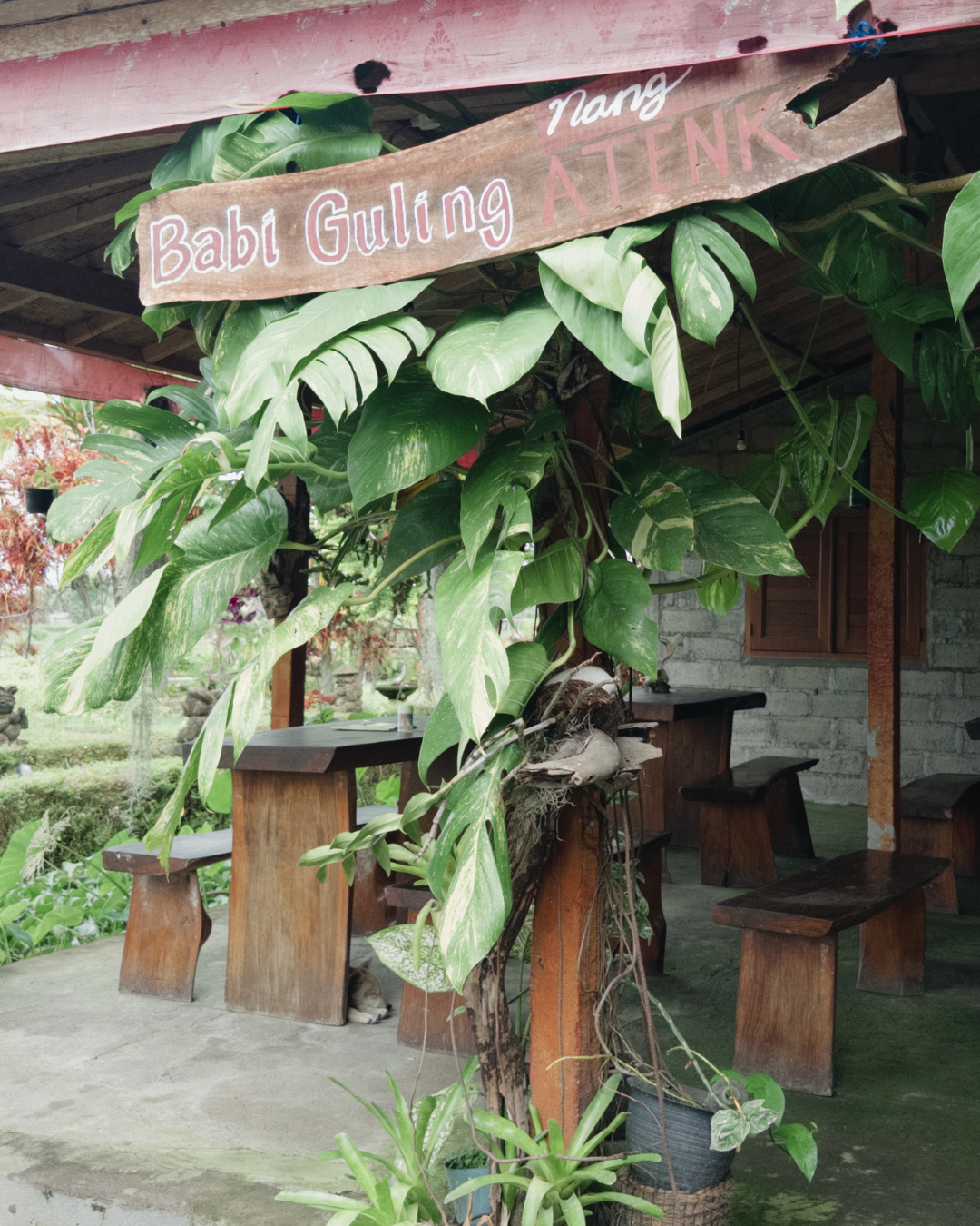 Babi Guling Nang Atenk		